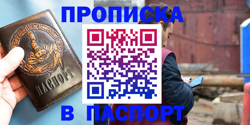 прописка в Мончегорске